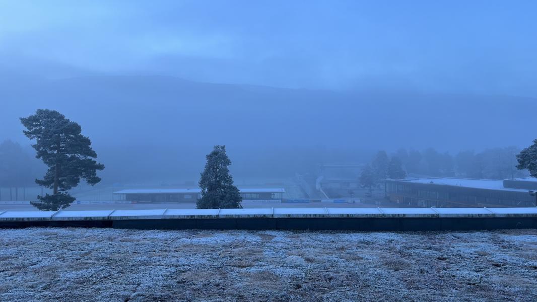 Bilde uten redigering