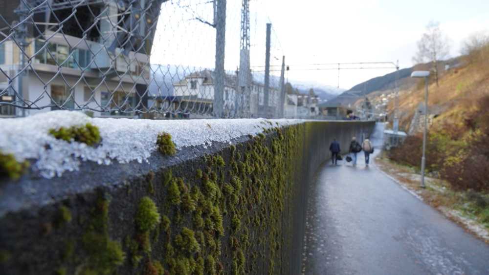 Eit bilde som viser ein mur på Voss stasjon, det er kvit himmer og snø på muren. Det er og måse på muren.