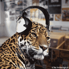 leopard med headset