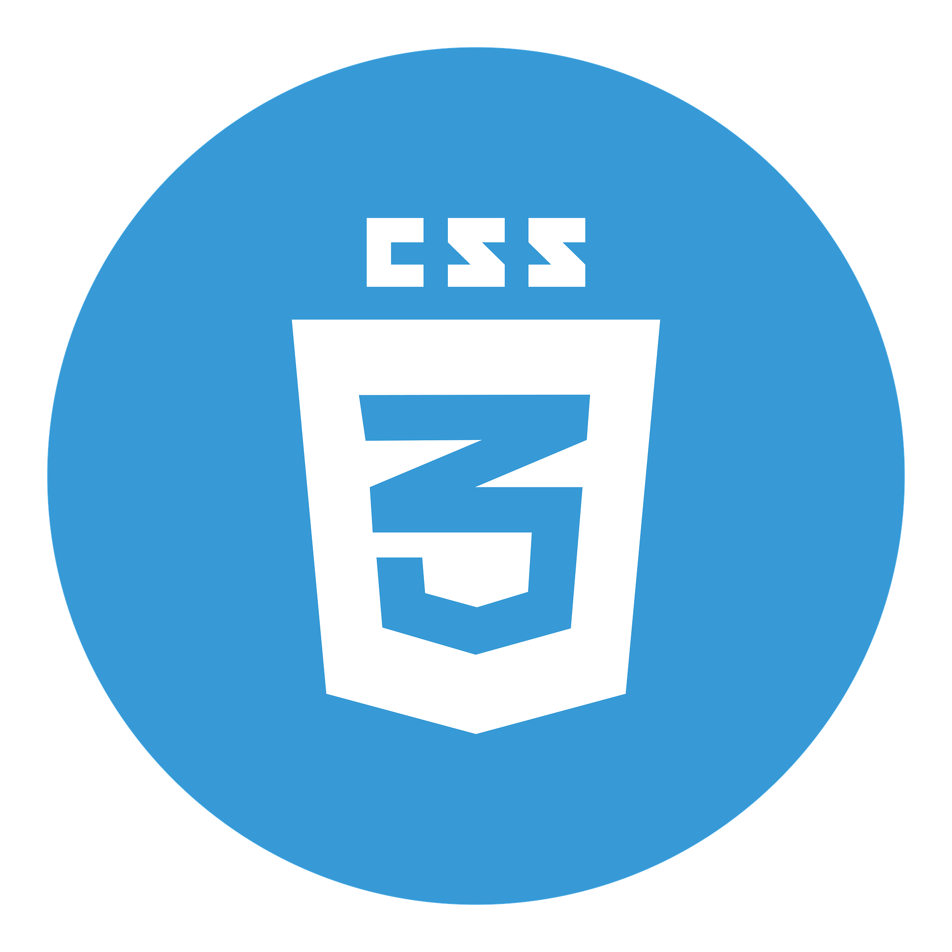 CSS Logo.