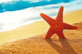 star image