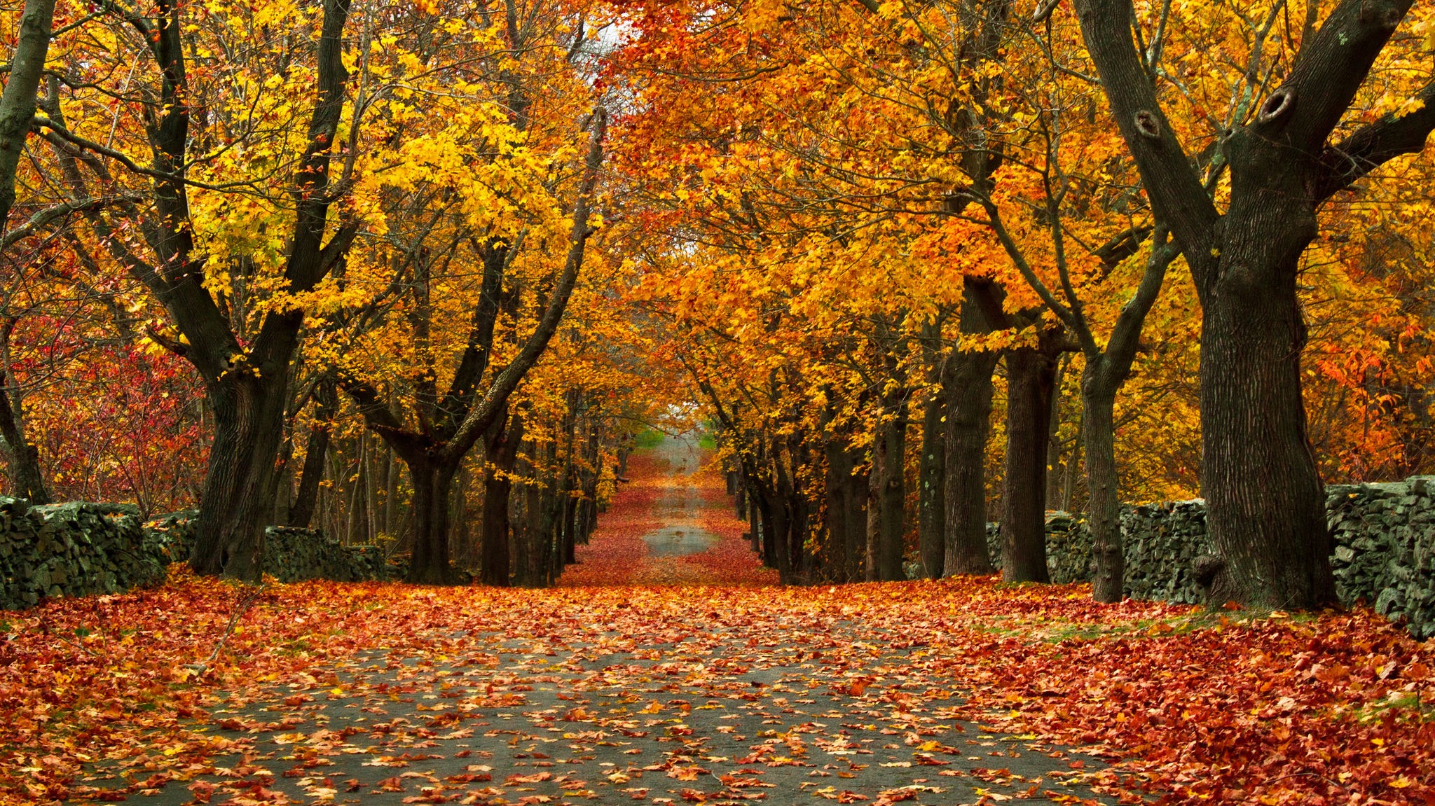 Autumn